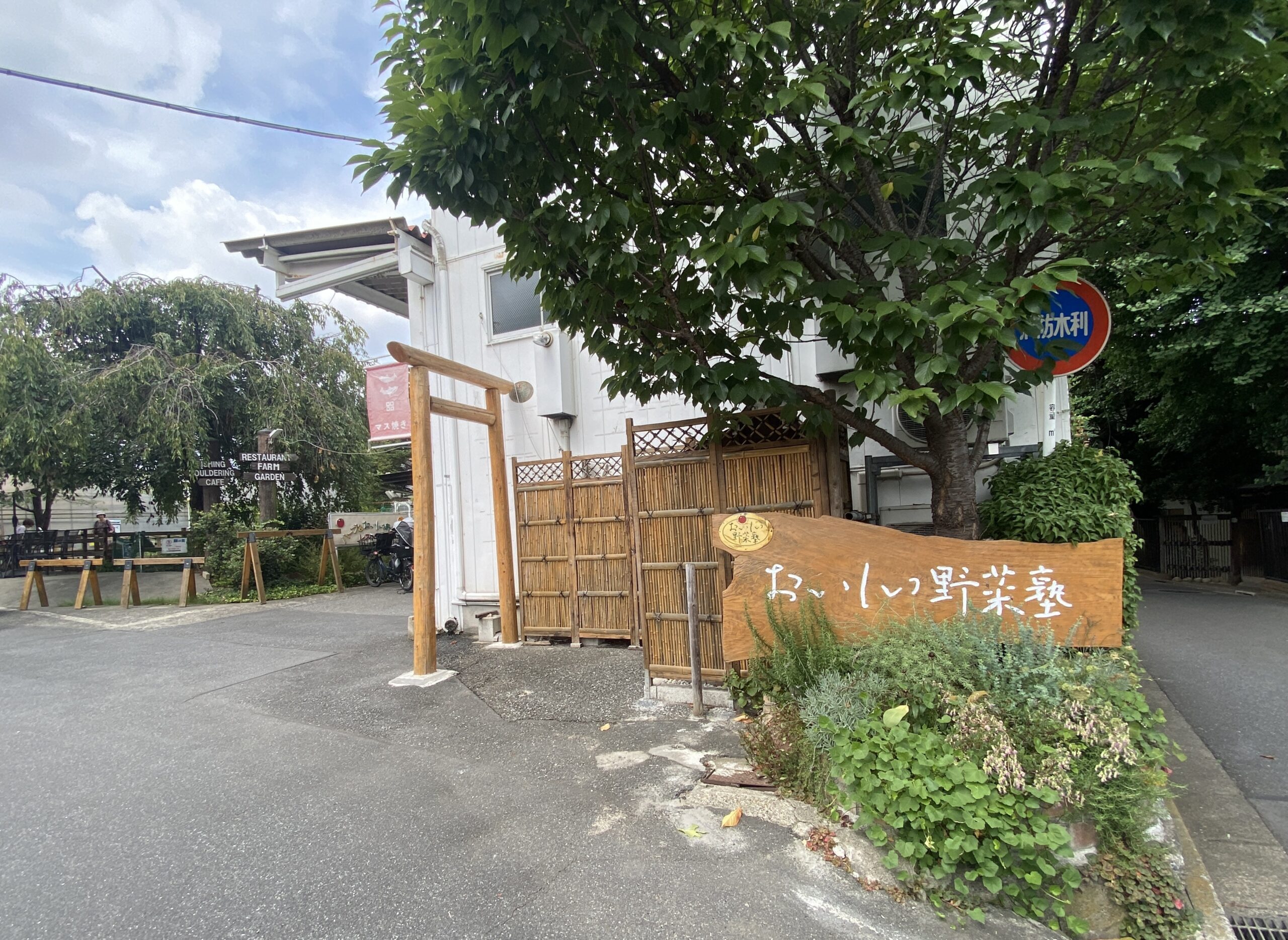 IMG_4619.jpeg